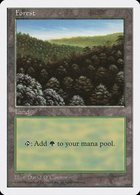 (英)森 / Forest【5ED】 No.446