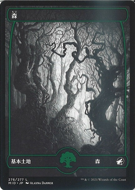 (日)【Foil】森 / Forest【MID】フルアート版 No.276