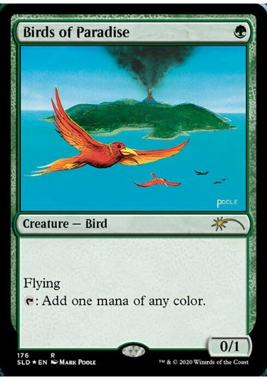 (英)極楽鳥 / Birds of Paradise【SLD】 Artist Series: Mark Poole No.176