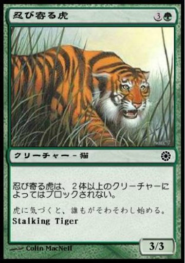 (日)忍び寄る虎 / Stalking Tiger【POR】 No.186