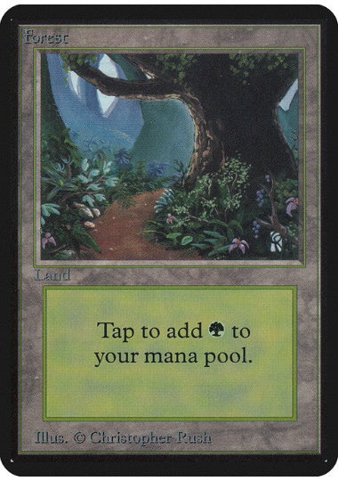 (英)森 / Forest【ALPHA】 (Flowers and Path) No.294