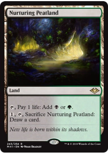 (英)【Foil】育成泥炭地 / Nurturing Peatland【MH1】 No.243