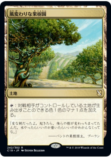 (日)風変わりな果樹園 / Exotic Orchard【C19】 No.242