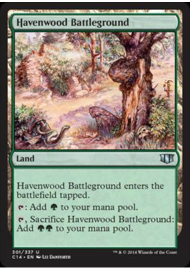 (英)ヘイヴンウッドの古戦場 / Havenwood Battleground【C14】 No.301