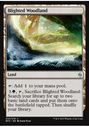 (英)【Foil】荒廃した森林 / Blighted Woodland【BFZ】 No.233