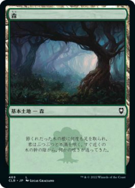 (日)森 / Forest【CLB】 No.469