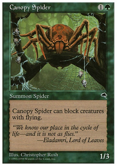 (英)梢の蜘蛛 / Canopy Spider【ANTHOLOGIES】 No.052