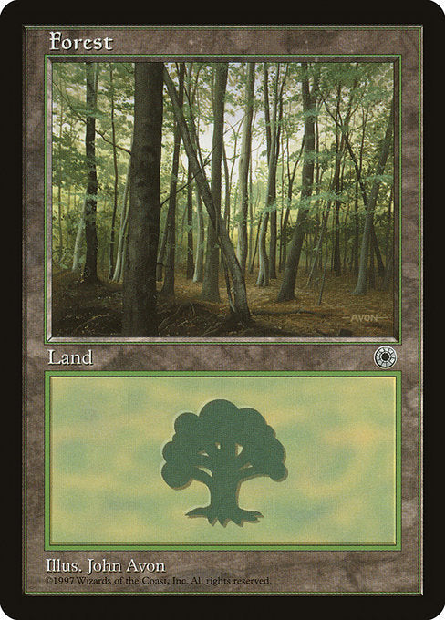 (英)森 / Forest【POR】 B No.213