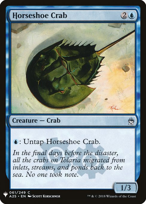 (英)カブトガニ / Horseshoe Crab【MB1】 No.0402