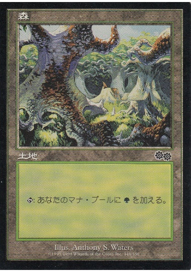 (日)森 / Forest【USG】 No.348