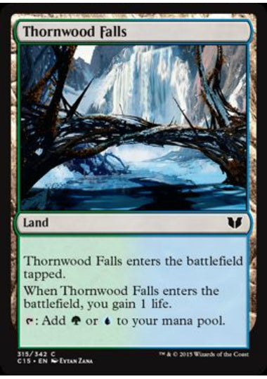 (英)茨森の滝 / Thornwood Falls【C15】 No.315