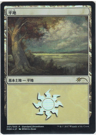 (日)【Foil】平地 / Plains【PRM】Rebecca Guay スタンダード・ショーダウンプロモ No.069